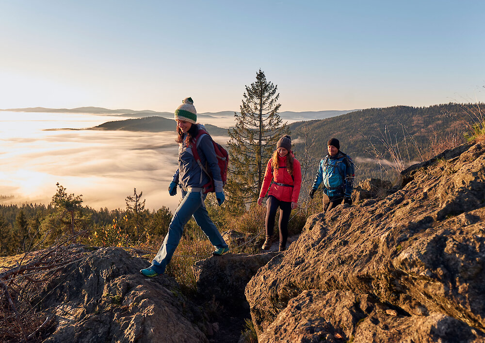 Wandertour im Nationalpark Bayerischer Wald geführte Wanderungen im Nationalpark Bayerischer Wald